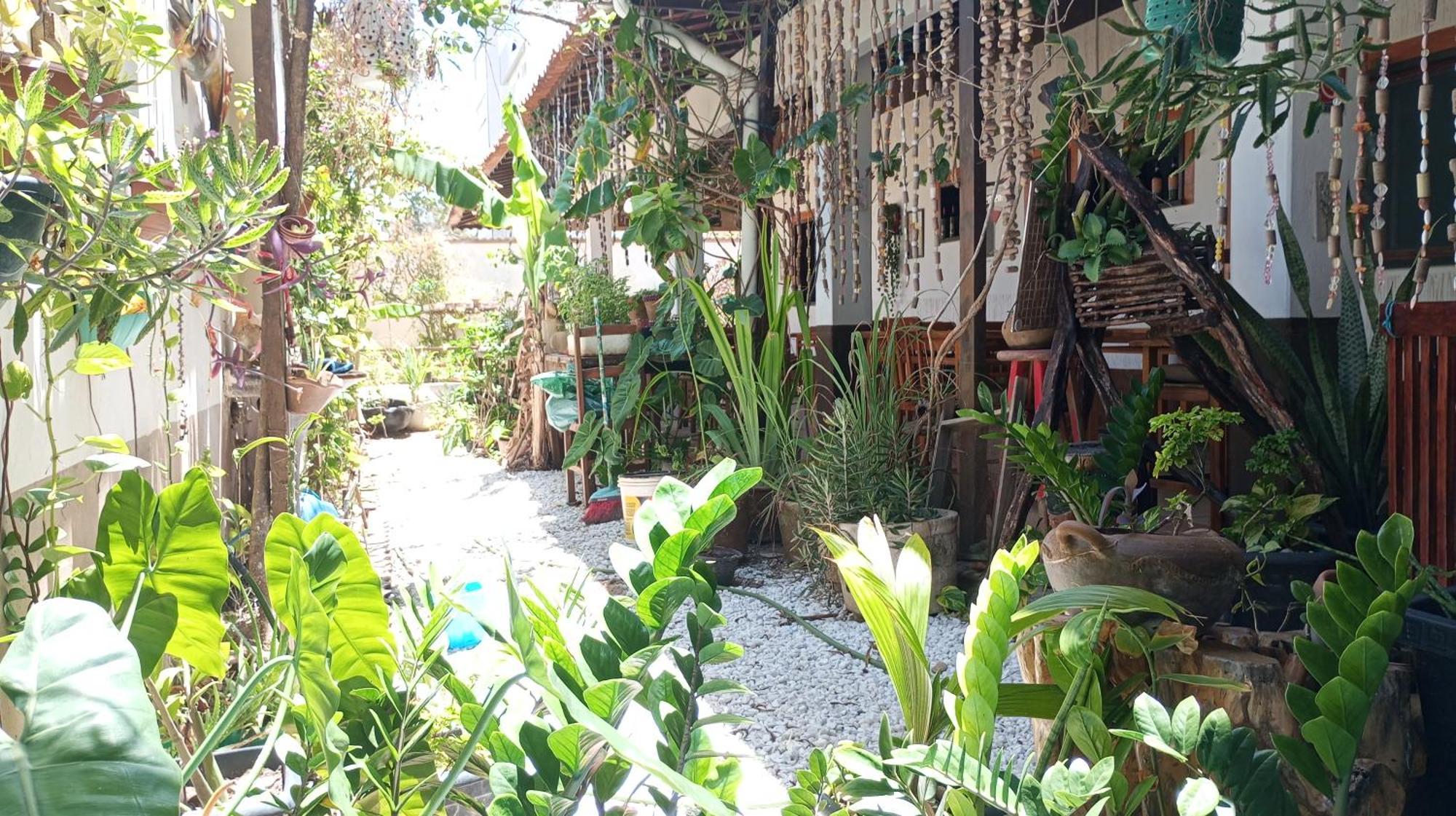 Pousada E Pizzaria Sol E Alegria Fortaleza  Exteriér fotografie